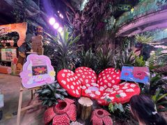 -正佳雨林生态植物园