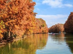 -上海海湾国家森林公园