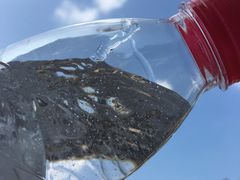 -延安杨家岭革命旧址