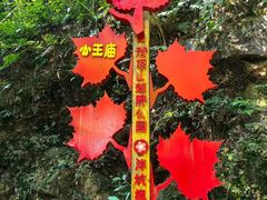 -梅州天地人花园酒店(梅县人民广场店)