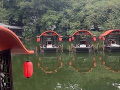 -侨美·唐荔园·40年地道粤菜