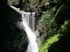 -牛背梁国家森林公园