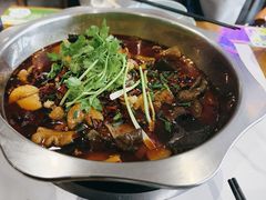 -川囧肥肠鸡·美蛙鱼锅(平高广场店)