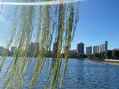 -莲花池公园