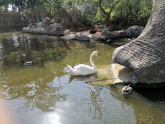 -昆明动物园