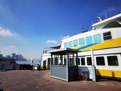 -丹东路渡口(轮渡站)