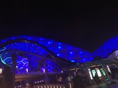 -迪士尼乐园停车场