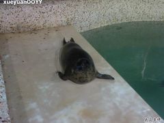 Photo-0209-绿色时代大酒店