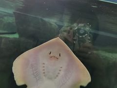 -珠海长隆海洋王国