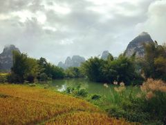 -明仕田园