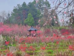 -常德桃花源景区