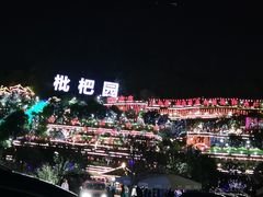 -枇杷园食为鲜火锅(南山店)