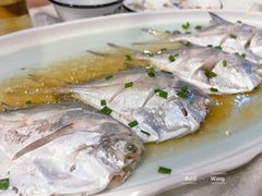 清蒸白鯧魚-天桥饭店·特色海鲜(金山嘴渔村店)