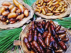 -昆虫窝子·特色云南菜(拓东路总店)