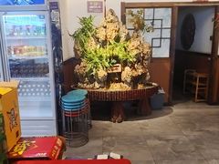 -成老灶火锅鸡(平山店)