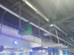 -盒马鲜生(大成店)