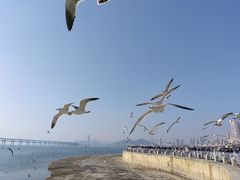 -星海广场