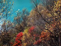 -叠溪松坪沟景区