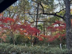 -北山街历史文化街区