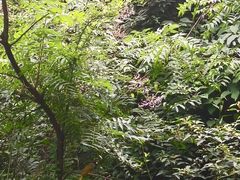 -汉中石门栈道景区