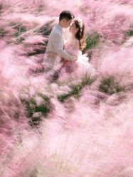 -莫兰迪婚纱摄影