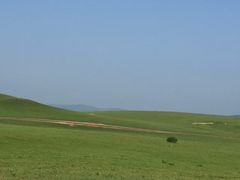 -塞罕坝国家级自然保护区