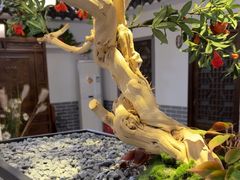 -元鼎宝驴香·全驴宴(江宁店)