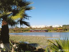 -洛龙公园