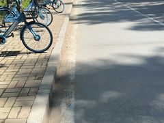 -秦皇岛野生动物园