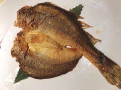 香煎小黄鱼-顺德美的万豪酒店-万豪中餐厅