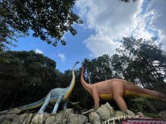 -森波拉奇妙世界