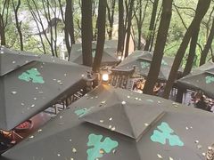 -巴倒烫陆派重庆火锅(南山店)