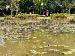 -中国科学院西双版纳热带植物园