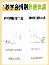 -Fundi张玉珊修身堂·indiba·BTL科技瘦身