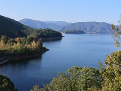 -逸廊大堂吧-下午茶·简餐-千岛湖自由洲际殿