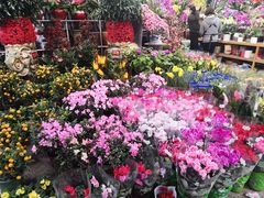 -双季花艺园艺市场(浦东店)