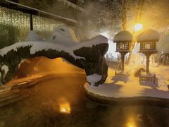 -长白山聚龙火山温泉