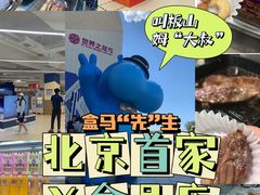 -盒马X会员店(王府井奥莱UP TOWN店)