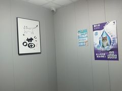 -半岛宠物医院24小时(科华中路店)