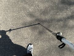 -北仑森林植物园