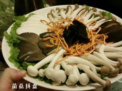 菌菇拼盘-东来顺饭庄(西直门店)
