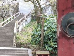 -苏州上方山国家森林公园