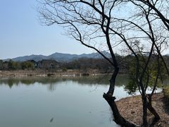 -西溪国家湿地公园