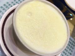 双皮炖奶-义顺牛奶公司(新马路老店)