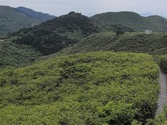 -大围山国家森林公园