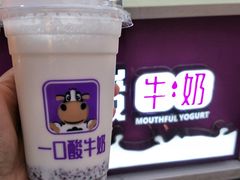 -一只酸奶牛(八一路店)