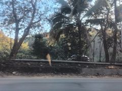 -西双版纳原始森林公园