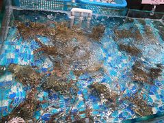 -蚝得喜海鲜(东城店)