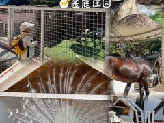 -J Create城市露营咖啡·简餐·宠物(上海动物园店)