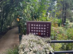 -寂照庵